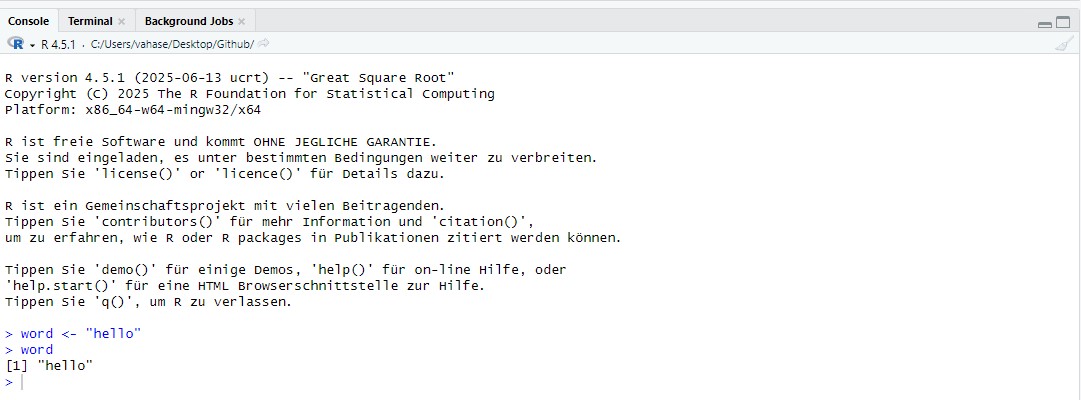 Console panel in RStudio